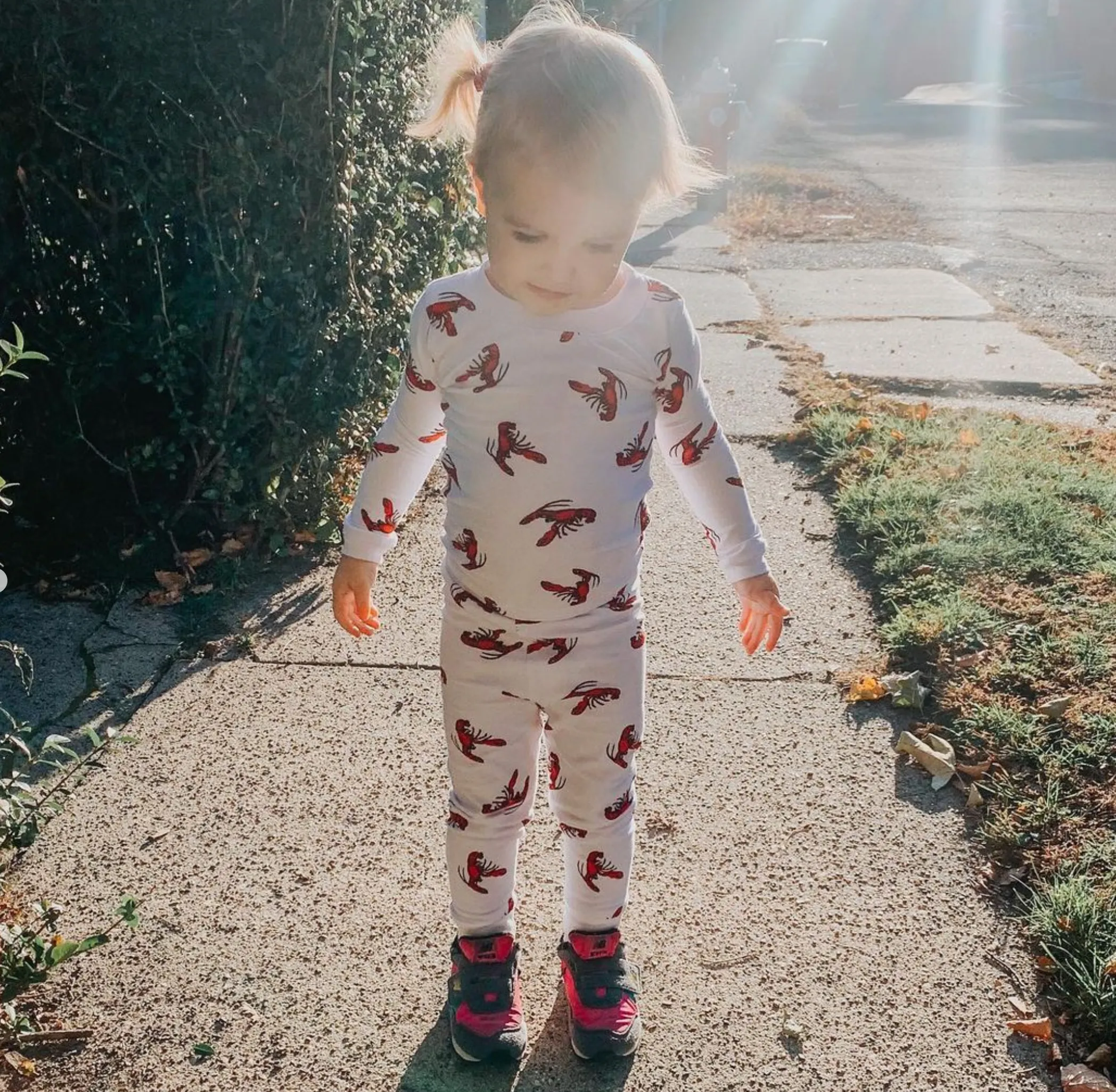 Cotton Lobster Pajamas