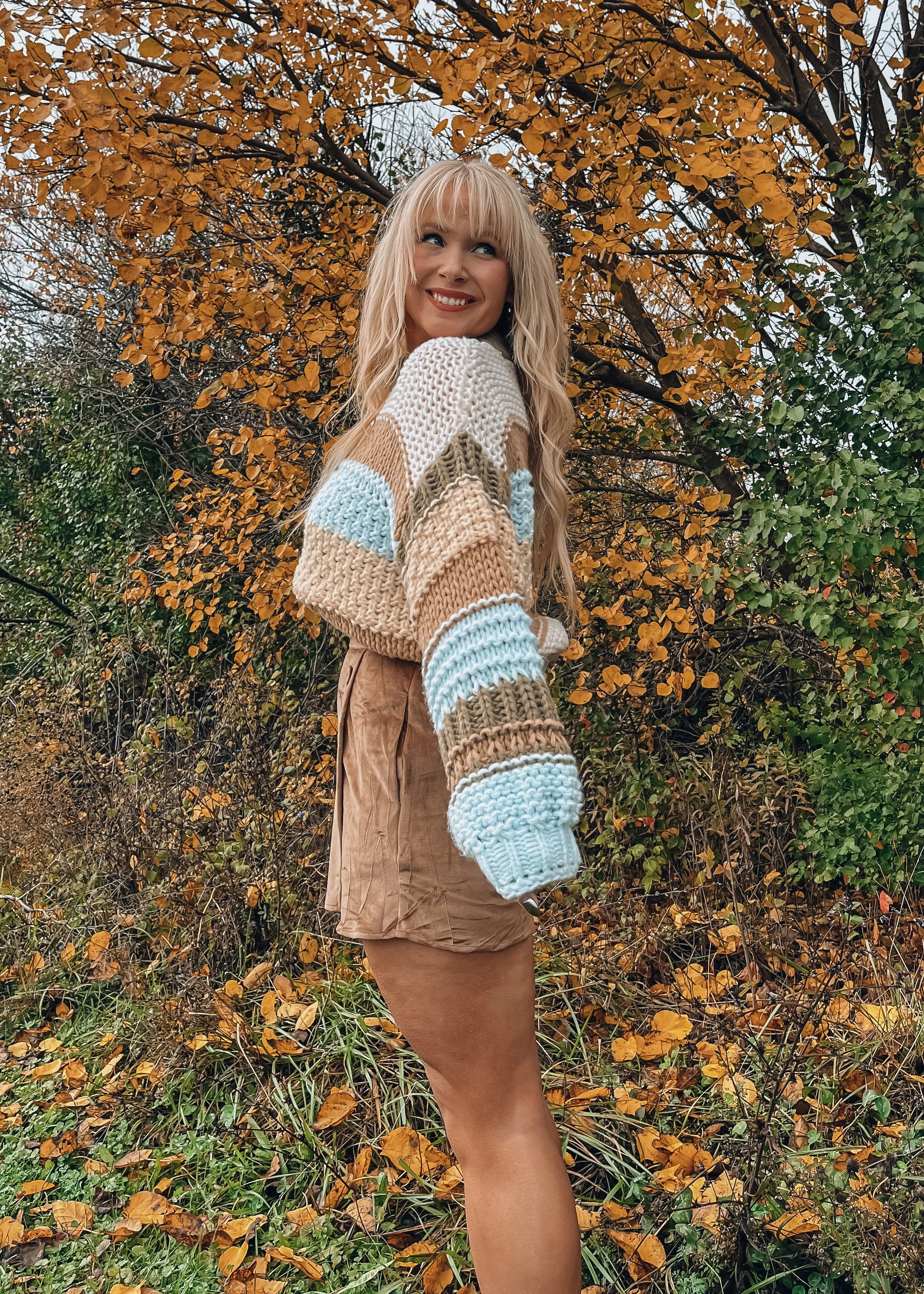 Jackson Hole Mutli Colored Knit Sweater